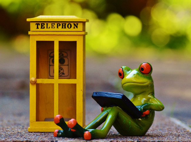 Frosch am PC und Telefonzelle